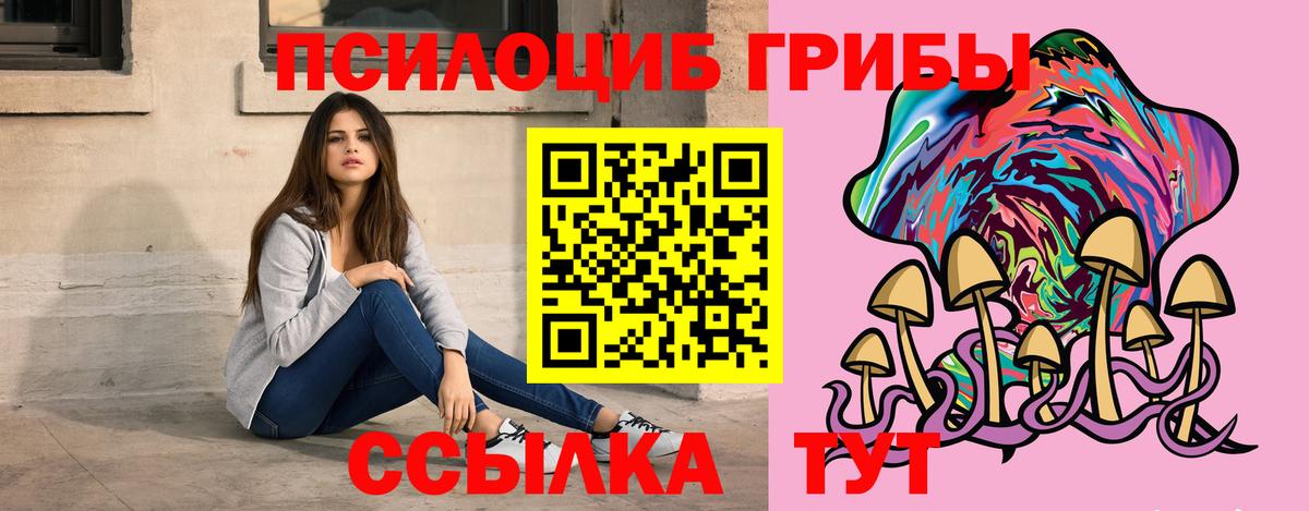 Псилоцибиновые грибы Psilocybe  Галлюциногенные грибы Psilocybine cubensis  Вход с VPN  Протвино 
