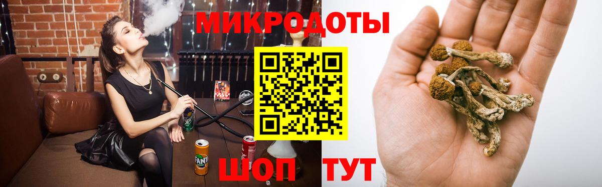 Псилоцибиновые грибы Cubensis Протвино